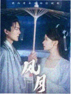 国产剧集出海数据观察